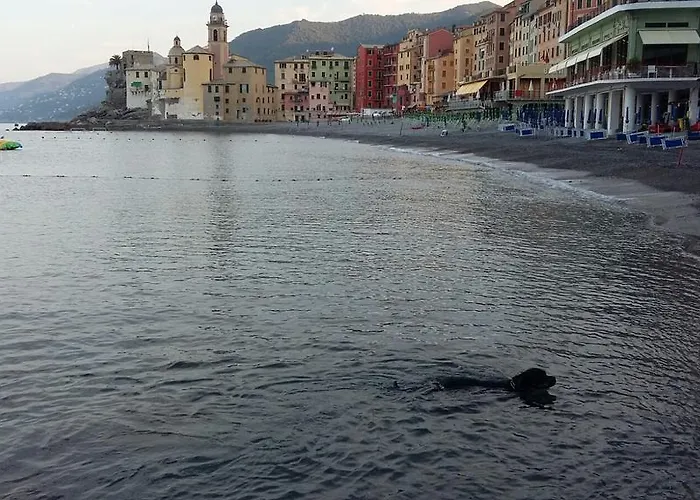 Lejlighed Infinity Mare/monti Camogli