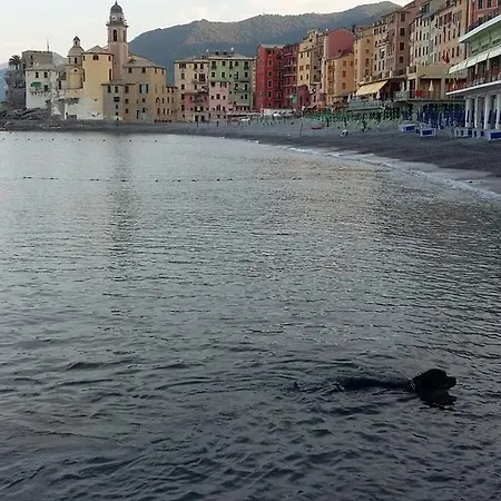 Apartman Infinity Mare/monti Camogli